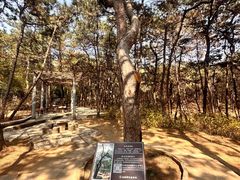-红螺寺