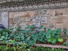 -上海醉白池公园