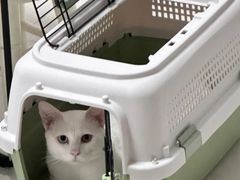-御宝贝24h宠物医院·转诊中心·CT核磁血透中心(厦门总院)