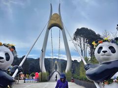 -中国大熊猫保护研究中心雅安碧峰峡基地