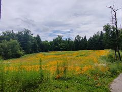 -长白山万达锦华套房酒店