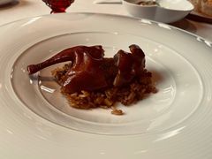 乳鸽-三号黄浦会Canton Table