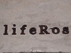 -素咫咖啡CLIFEROSE(新安店)