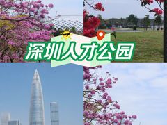 -深圳人才公园