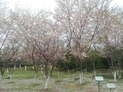 -白塘生态植物园