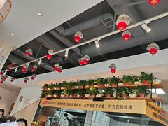 -宋益驴蹄子面肉夹馍(辛家庙店)