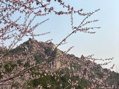 -北京凤凰岭