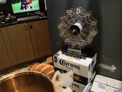 -CIAO·团建聚餐·生日派对轰趴馆(福田店)