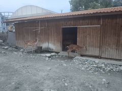 -国色天乡三期陆地乐园