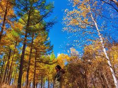 -塞罕坝国家级自然保护区