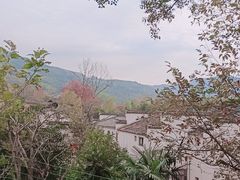 -塔川景区