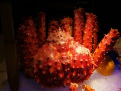 -广州花园酒店·凌璇阁旋转餐厅CAROUSEL360