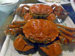 大螃蟹-绿色时代大酒店