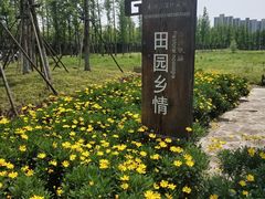 -长田漾湿地公园
