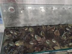 -韩家墅海吉星农产品批发市场