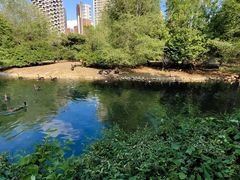 -长白岛森林公园