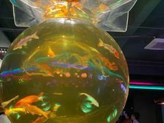 -北海海洋之窗