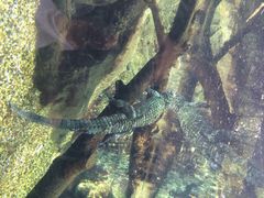 河川生态园-河川生态园