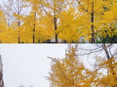 -沙河三洞古桥公园