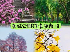 -洲头咀公园