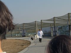 -盐城丹顶鹤湿地生态旅游区