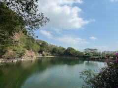 -王借岗森林公园