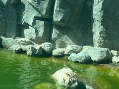 -北京野生动物园