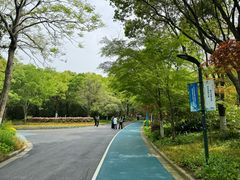 -上海吴淞炮台湾国家湿地公园