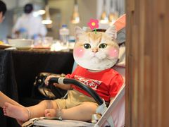 -厦门艾美酒店·新食谱西餐厅