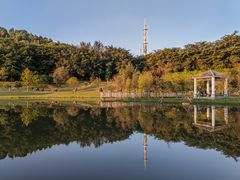 -东莞植物园