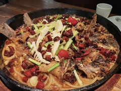 -老板恋上鱼(环山路店)