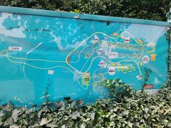 -上海市保健医疗中心