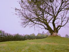 -邓小平故里