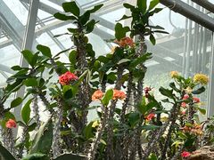 -国家植物园南园