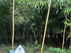 -安吉竹博园