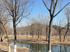 -门城湖公园