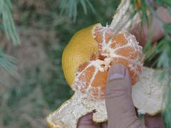 -杭州城北体育公园