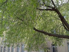 -辽宁大学(崇山校区)