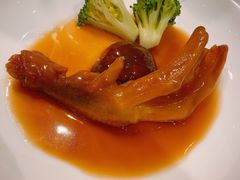 鲍汁鹅掌-陶陶居酒家(海岸城店)
