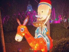 -南宫五洲植物乐园