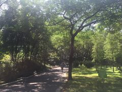 -晓港公园