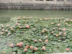 -南通濠河风景名胜区