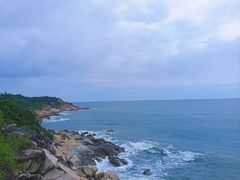 -广东惠东海龟国家级自然保护区