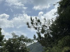-龙里油画大草原旅游区