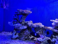 -太平洋海底世界