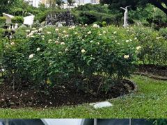 -人民公园(罗湖区)