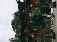 -天台国家森林公园水上茶乡九鹏溪