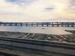 -海堤纪念公园