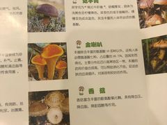 -太婆天府山珍酒楼(亚运村店)