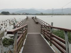 -长田漾湿地公园
